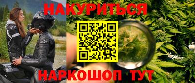индика Жуковский